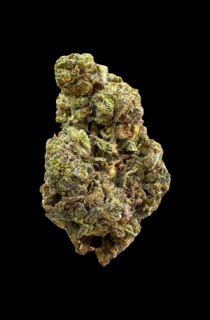 CRITICAL JACK | DTX