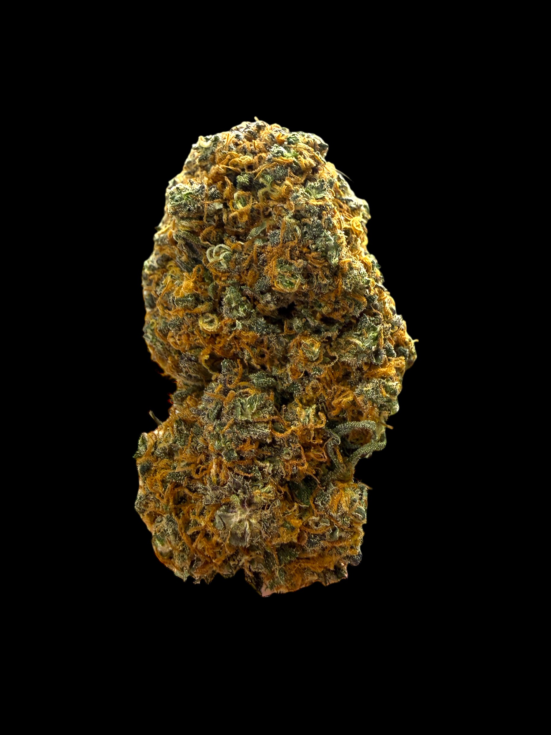 GORILLA MANDARINE