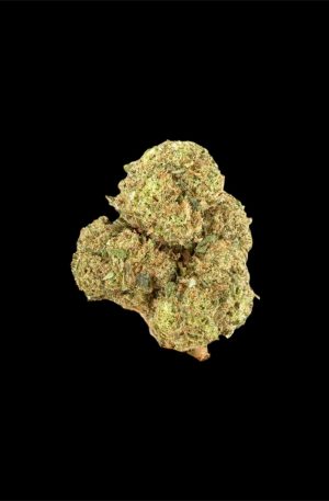 GIRL SCOUT COOKIE | DTX