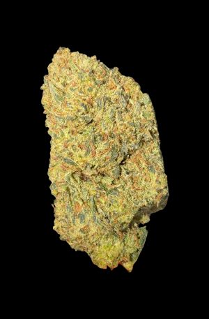JACK HERRER | DTX