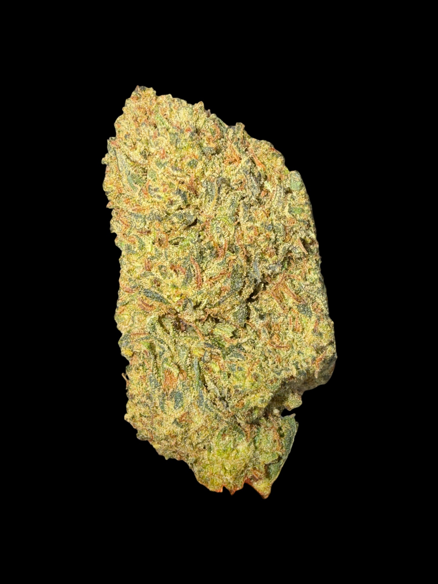 JACK HERRER | DTX