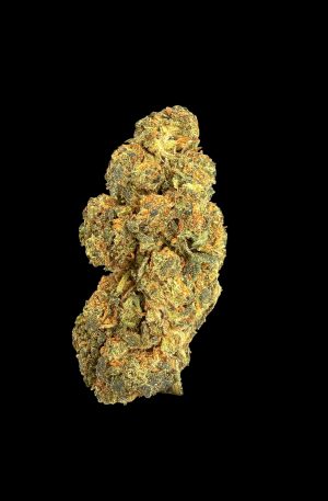 RED BERRIE | DTX