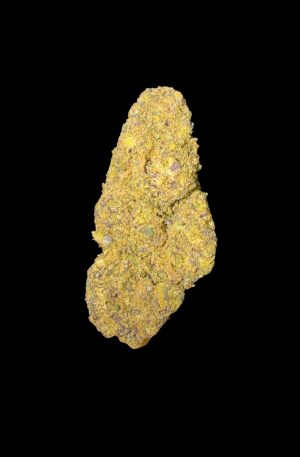 ALIEN COOKIE GELATO