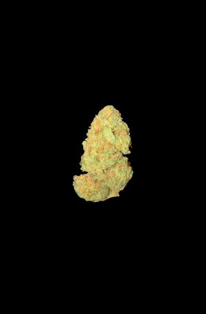 BLUEBERRY MUFFIN SB