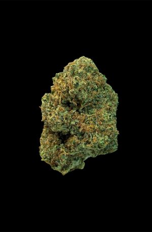 CHERRY GELATO | DTX