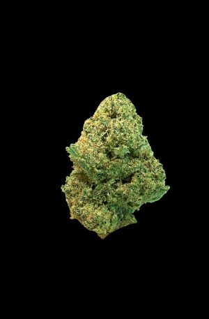 GOLDBAR KUSH